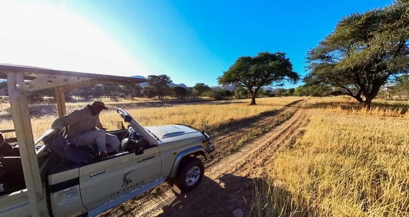 From Windhoek: Okapuka Safari Lodge Day Trip - Key Points