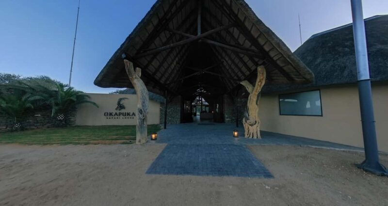 From Windhoek: Okapuka Safari Lodge Day Trip - What to Expect from the Okapuka Safari Lodge Day Trip
