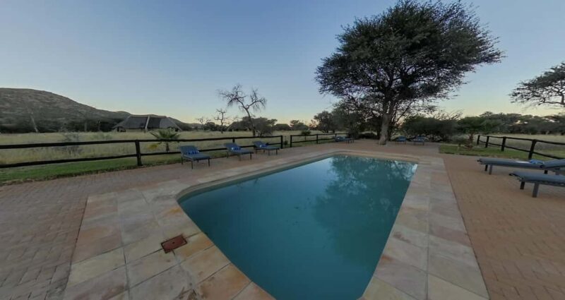 From Windhoek: Okapuka Safari Lodge Day Trip - Who Should Book This Tour?