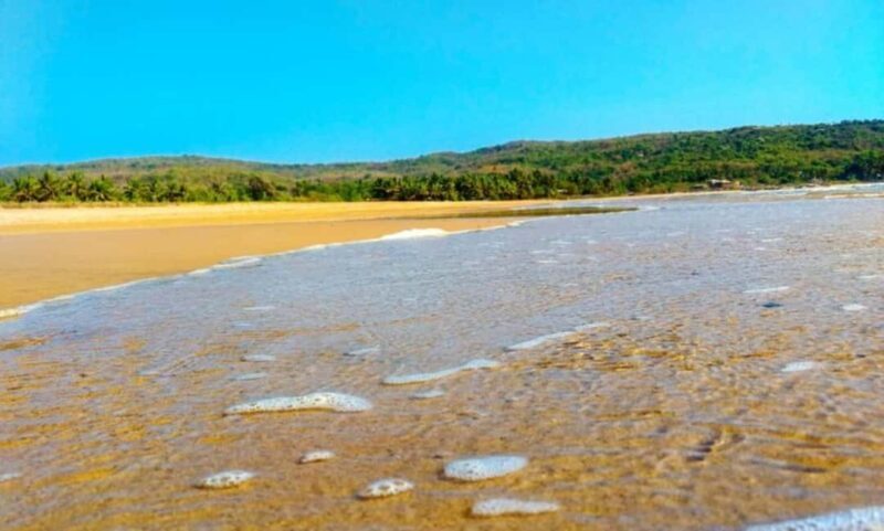 From Windsor: 2-Day Phillip Island & Wilsons Promontory Tour - FAQ