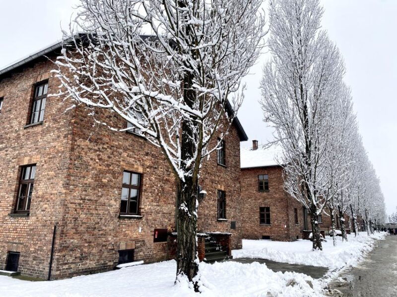from-wroclaw-full-day-auschwitz-birkenau-guided-tour