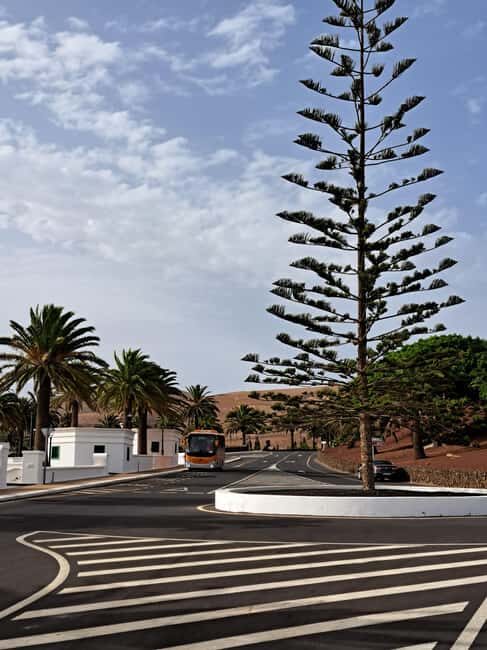 From Yaiza: Timanfaya Express Tour with No Queues - Exploring Lanzarote’s Volcanoes without the Hassle