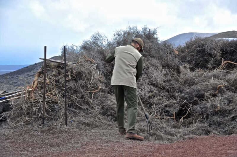 From Yaiza: Timanfaya Express Tour with No Queues - Authentic Insights from Other Travelers