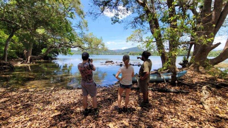 From Yala: Private Transfer to Ella with Etili Village Tour - Key Points