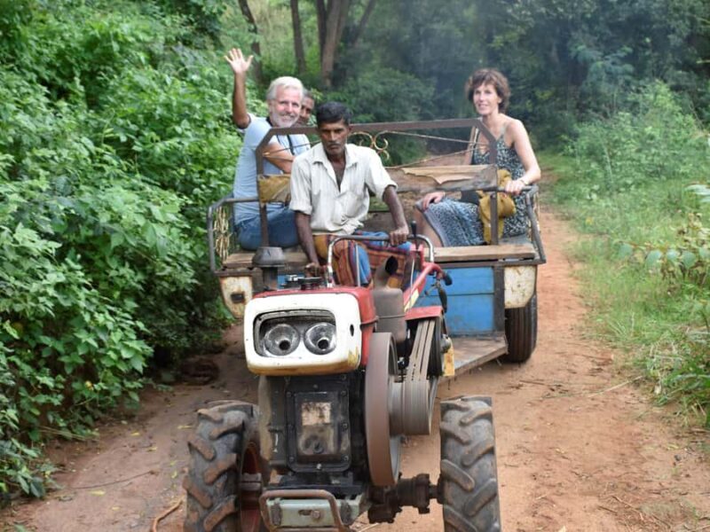 From Yala: Private Transfer to Ella with Etili Village Tour - The Sum Up