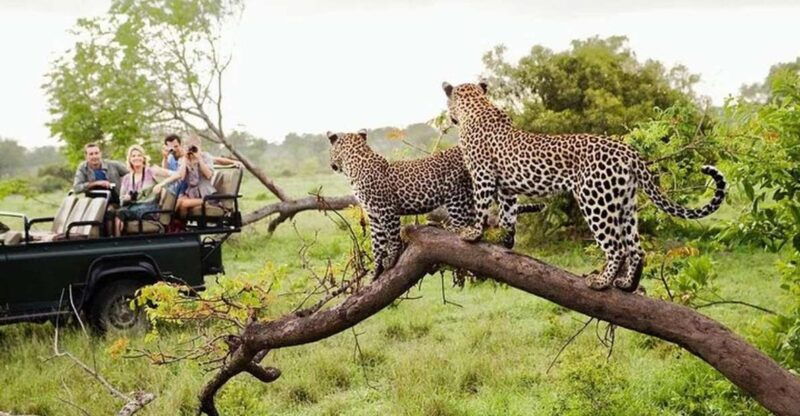 from-yala-yala-national-park-thrilling-full-day-safari
