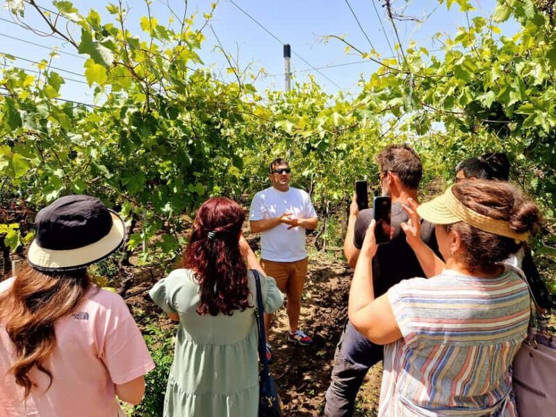 From Yerevan: Winery Tour with Wine Tasting and Dinner - From Yerevan: Winery Tour with Wine Tasting and Dinner — A Full-Day Adventure into Armenia’s Viticultural Heritage