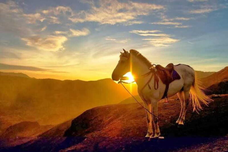 from-yogyakarta-3-day-bromo-and-ijen-tour-with-transfers