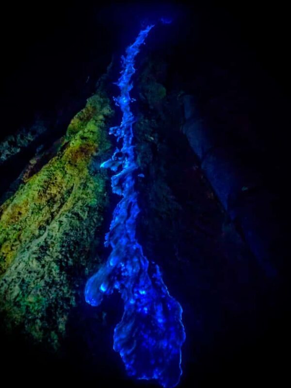 FROM YOGYAKARTA: 3D2N BROMO & IJEN VOLCANO - Key Points