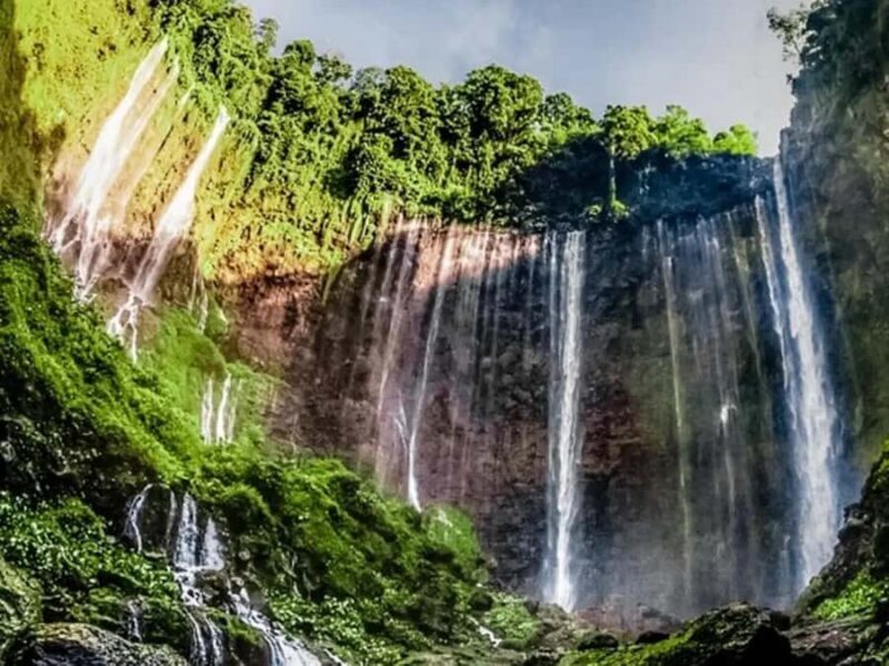 From Yogyakarta; 3D2N Tumpak Sewu Waterfall,Bromo.Ijen. - Value and Overall Impression