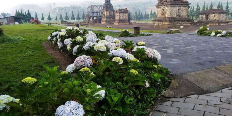 from-yogyakarta-dieng-dawns-embrace-cultural-treasures