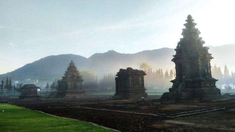 from-yogyakarta-dieng-tour-golden-sunrise-tea-plantation