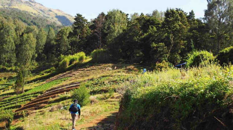 from-yogyakarta-mount-sumbing-day-hike-via-nepal-van-java