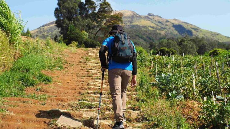 from-yogyakarta-mount-sumbing-day-hike-via-nepal-van-java