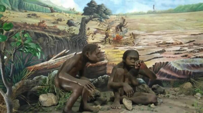 From Yogyakarta: Sangiran Museum and Early Man Site Tour - Key Points