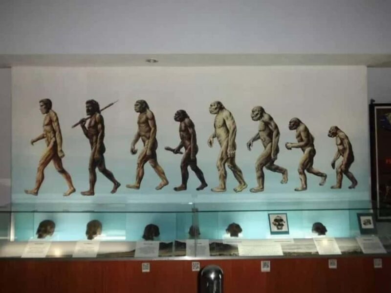 From Yogyakarta: Sangiran Museum and Early Man Site Tour - What Makes This Tour Valuable?