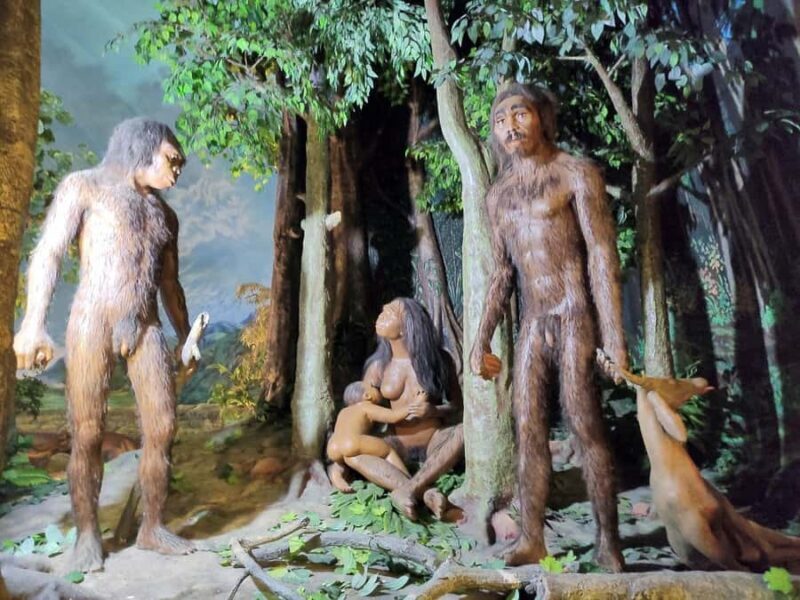 From Yogyakarta: Sangiran Museum and Early Man Site Tour - Who Is This Tour Best For?