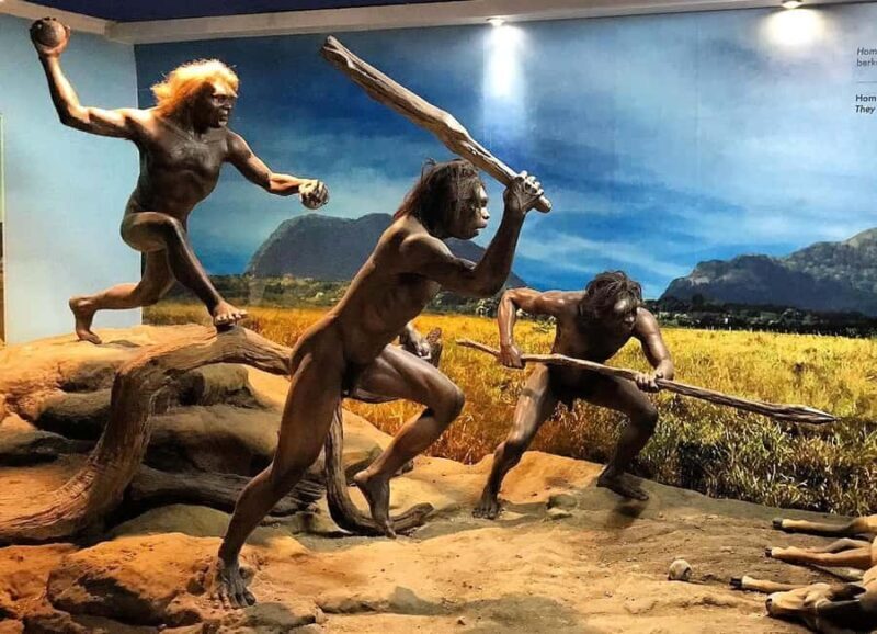 From Yogyakarta: Sangiran Museum and Early Man Site Tour - FAQ