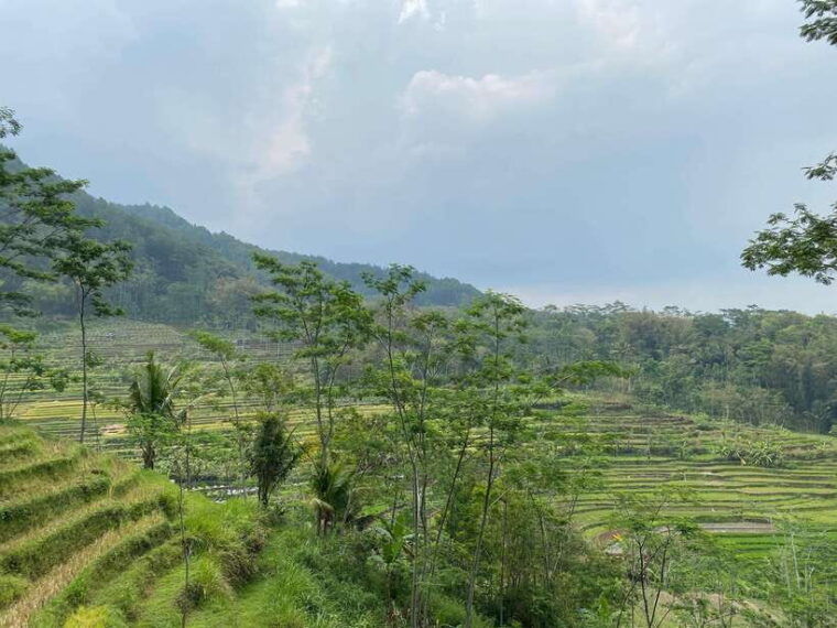from-yogyakarta-selogriyo-temple-and-kedung-kayang