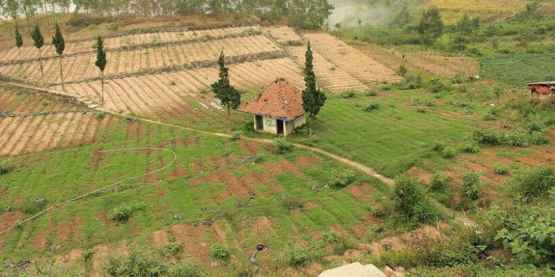 from-yogyakarta-the-beauty-of-dieng-guided-day-tour