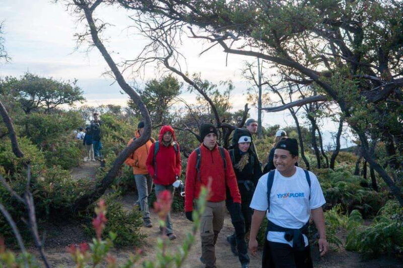 from-yogyakarta-tumpak-sewu-bromo-and-ijen-4-day-tour