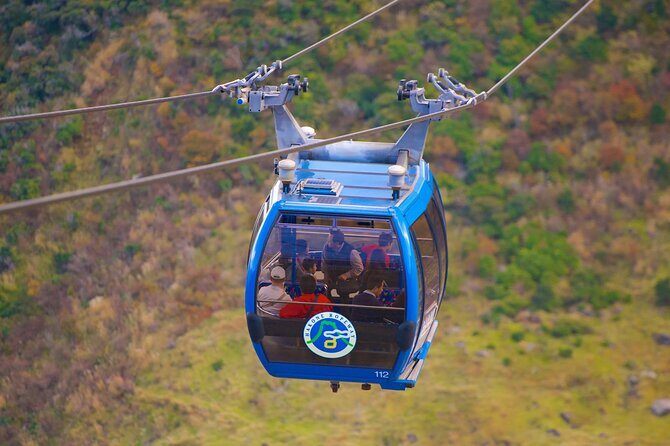 From Yokohama Port Hakone Ropeway & Lake Ashi 10Hour Private Tour - The Itinerary Breakdown: What You’ll See and Do