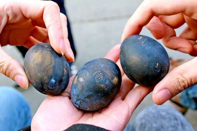 From Yokohama Port Hakone Ropeway & Lake Ashi 10Hour Private Tour - FAQs