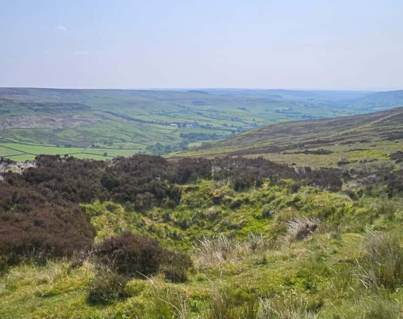 From York: North Yorkshire Moors, Steam Train and Whitby - Key Points