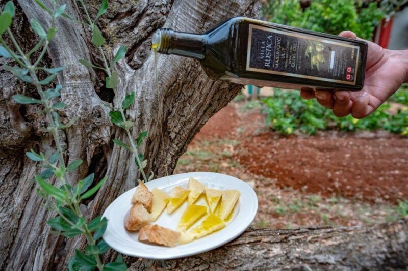 from-zadar-e-scooter-self-guided-day-trip-on-ugljan-island