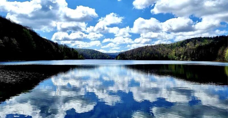 From Zadar: Plitvice Lakes Day Tour - Pricing and Value