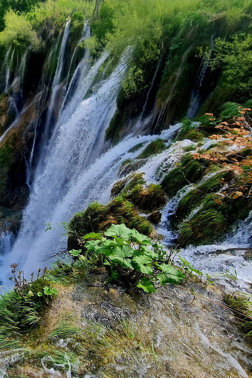 from-zadar-plitvice-lakes-day-trip-with-guide-and-boat-tour
