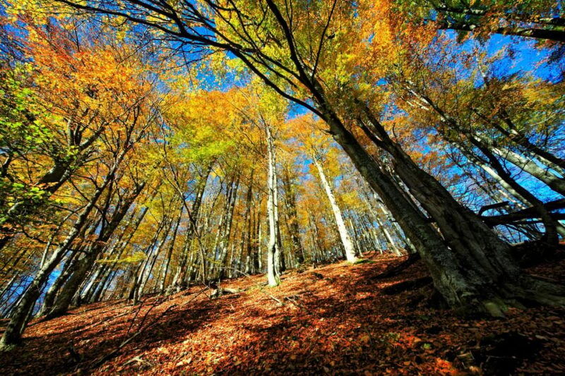 from-zadar-plitvice-lakes-national-park-day-trip-boat-ride