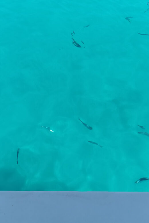 From Zadar: Sakarun Beach Private Speed Boat Tour - Final Thoughts