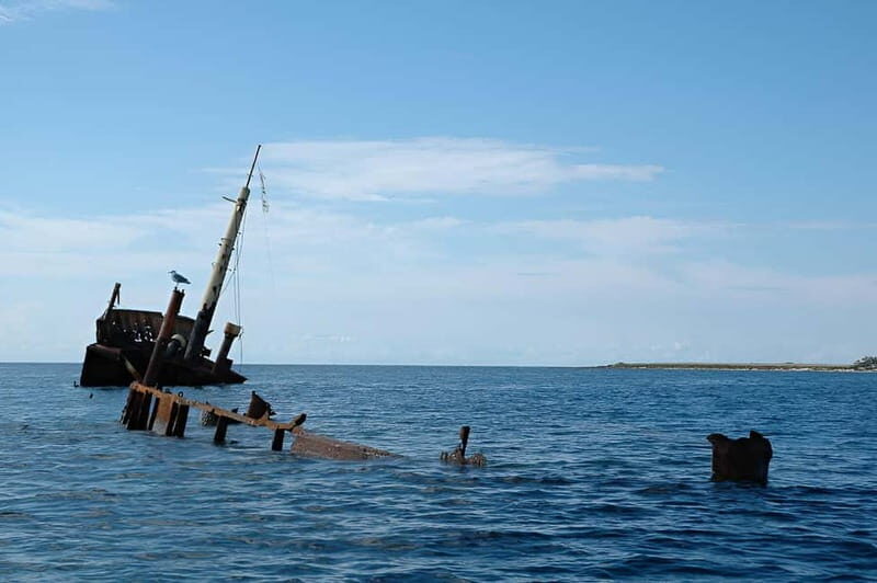 From Zadar: Sakarun Beach Private Speed Boat Tour - Authentic Experiences and Real Traveler Insights