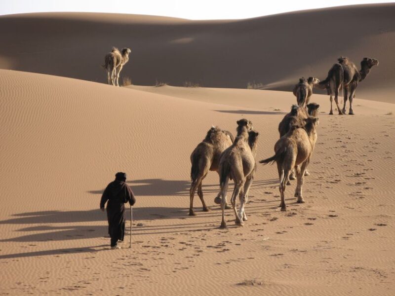 From Zagora: 2-Day Desert Tour to Erg Chegaga - Exploring the Itinerary: What You Can Expect