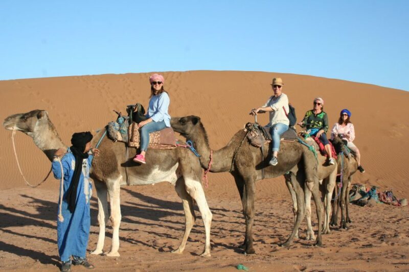 From Zagora: 2-Day Desert Tour to Erg Chegaga - The Experience from Reviews