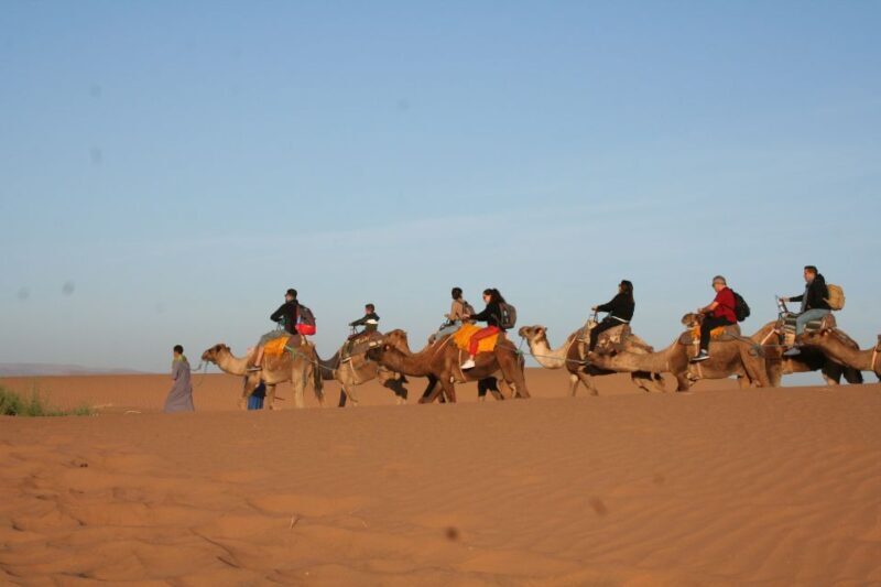 From Zagora: 2-Day Desert Tour to Erg Chegaga - Practical Tips & Considerations