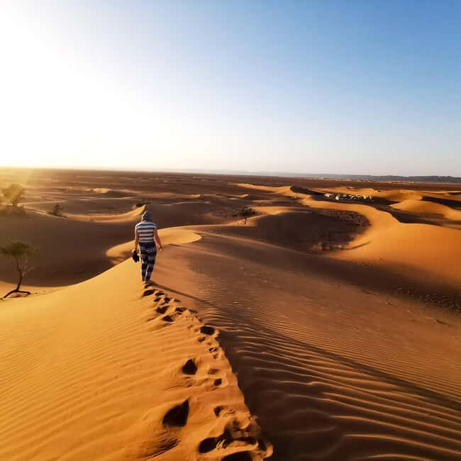 From Zagora: Overnight Desert Tour to Erg Chigaga Camel ride - Key Points
