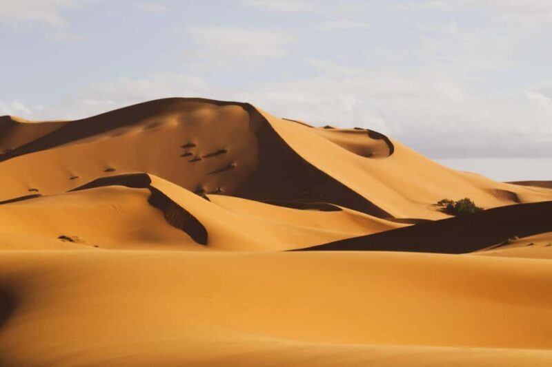 From Zagora: Overnight Desert Tour to Erg Chigaga Camel ride - Why This Tour Offers Something Special