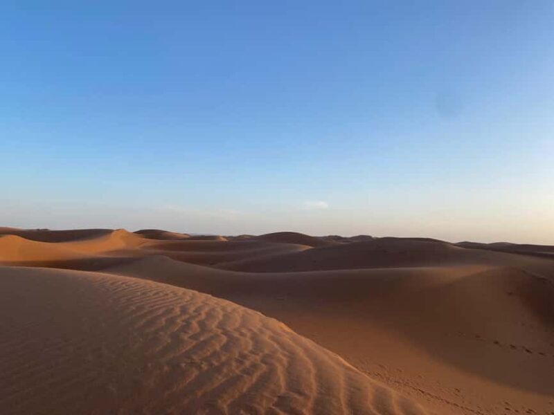 From Zagora: Overnight in Sahara Desert with camel ride - Key Points