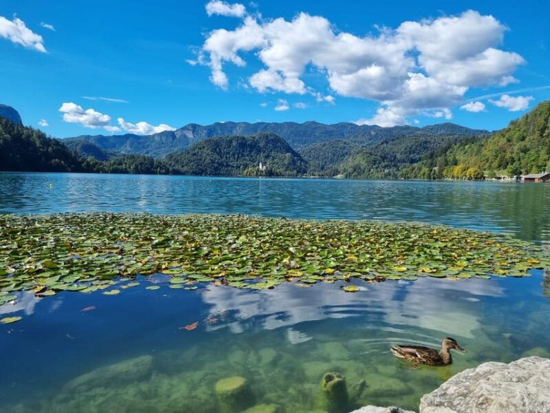 from-zagreb-highlights-day-tour-to-bled-and-ljubljana