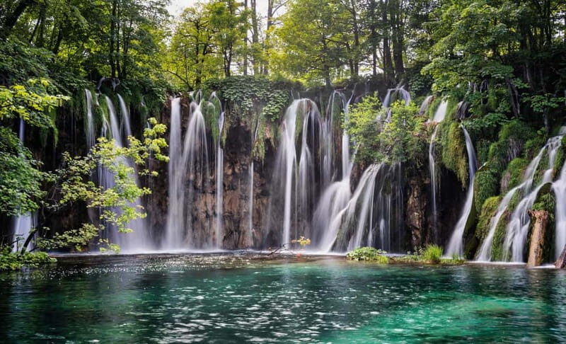 From Zagreb or Split: Plitvice Lakes Private Tour - An Introduction to the Tour Experience