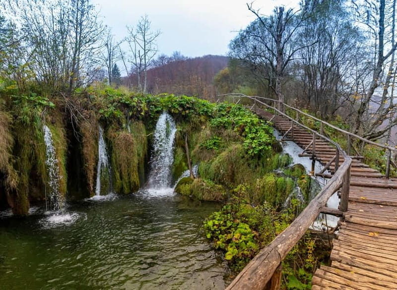 From Zagreb or Split: Plitvice Lakes Private Tour - Who Will Love This Tour?