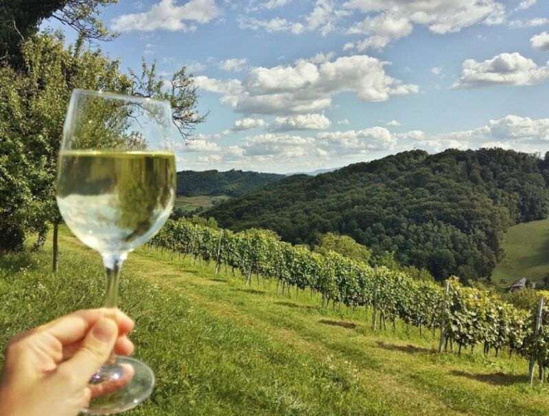 from-zagreb-plesivica-hills-samobor-tour-wine-tasting