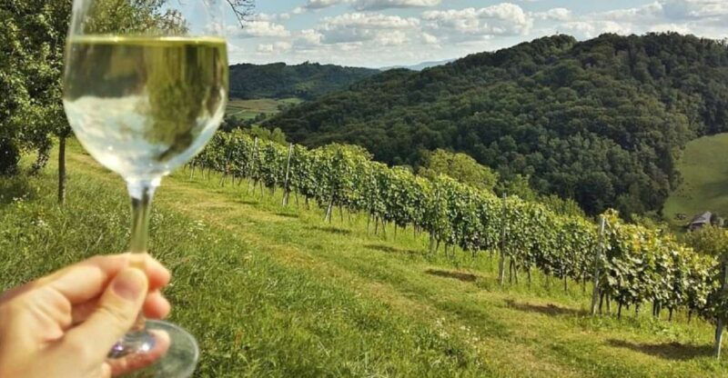 from-zagreb-plesivica-hills-samobor-tour-wine-tasting