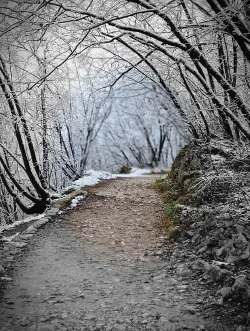 From Zagreb: Plitvice Lakes, Dubovac Castle, Rastoke - Why This Tour Stands Out  