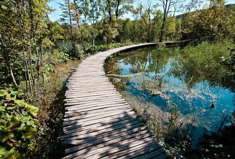 From Zagreb: Plitvice Lakes Guided Day Trip - Who Will Love This Tour
