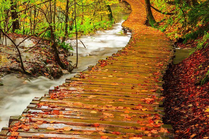 From Zagreb: Plitvice lakes guided tour - Practical Tips for Travelers