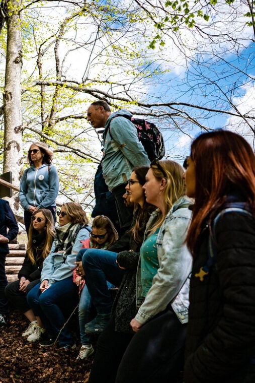 from-zagreb-plitvice-lakes-national-park-full-day-tour