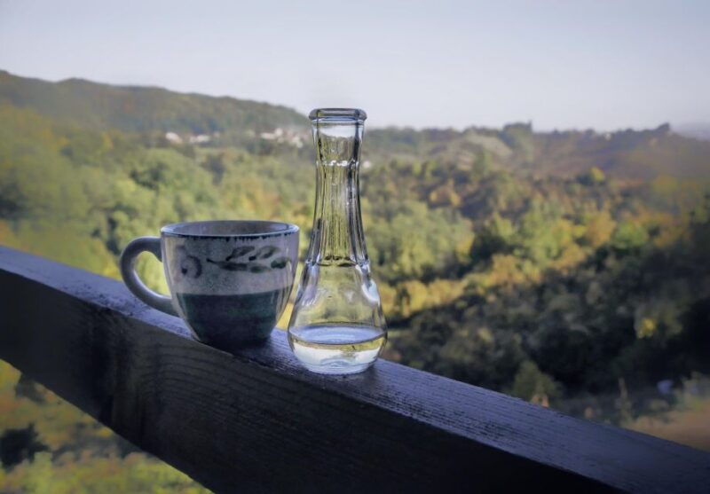 from-zagreb-samobor-plesivica-wine-road-private